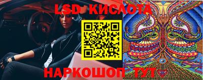 молекула духа Кингисепп
