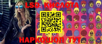 молекула духа Кингисепп