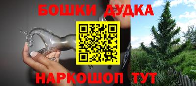 молекула духа Кингисепп