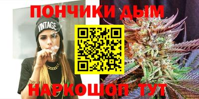 молекула духа Кингисепп