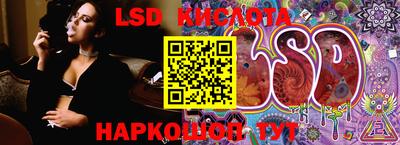 молекула духа Кингисепп