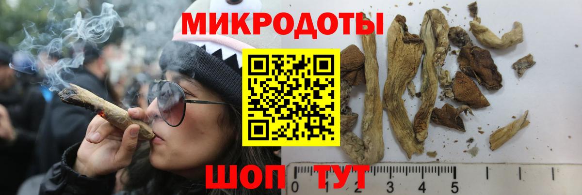 сколько стоит  Вход с VPN  Шебекино  Псилоцибиновые грибы Magic Shrooms  Псилоцибиновые грибы мухоморы 