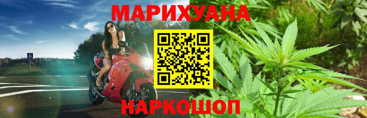 Канабис OG Kush Шебекино